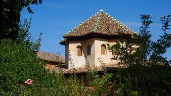 antique building near green plants in Granada