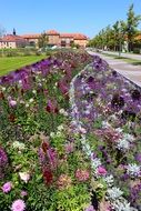 Beautiful and colorful long flower bed near the buildings