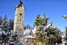 trees in the snow near the church