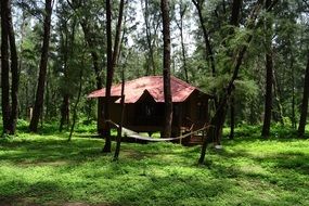 Cottage in the forest in India