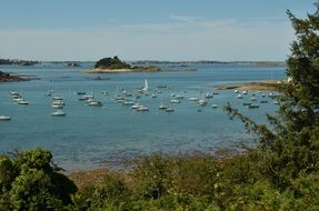 panorama of boats near the coast