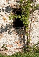 old window on the stone wall