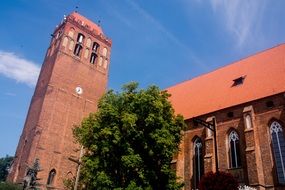 sacred gothic windows