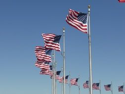 american flags on poles under clear sky