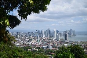 panoramic view of the city behind green trees