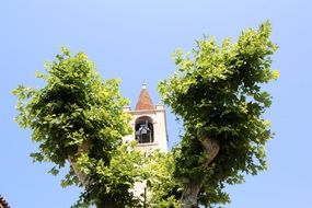 bell tower between tree branches