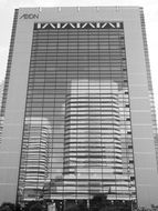 Reflection of high-rise buildings on facade, black and white