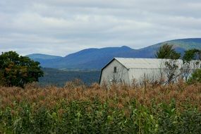 field near the village building
