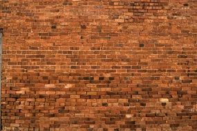 clear red brick wall