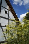 cottage garden in Bach Ritterburg