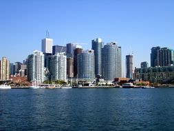 skyscrapers on the beach in toronto