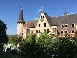 medieval palace for the trees