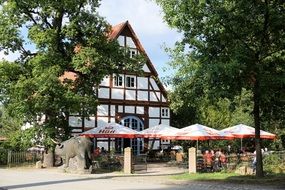 Brasserie restaurant near Zoo Zababurg