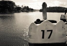 paddle boat on the city lake