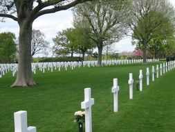 War Cemetery Limburg, netherlands