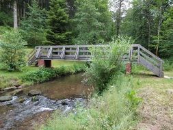 bridge over a small river among the trees