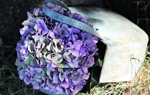 decorative hydrangea flower