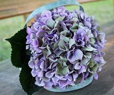 blue-purple hydrangea flower