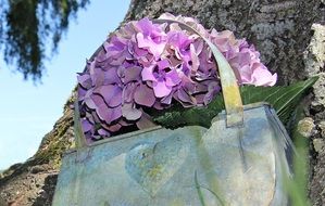 hydrangea flower in metal basket