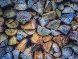 Wood Log Logs Background Cut
