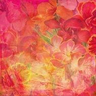 Flower Floral Bouquet Background