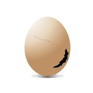 Egg Broken White Isolated