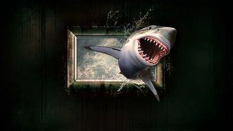 Shark Wallpaper Water Sea