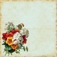 bouquet of flowers on old paper