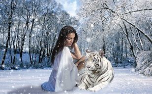 Woman Tiger Snow Winter Nature