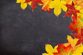 Autumn School Back To School