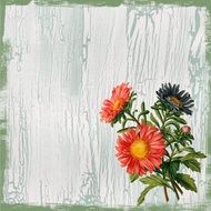 bouquet of daisies on the background