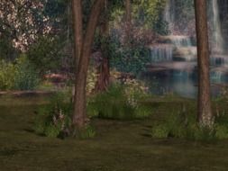 background in the form of trees in digital art