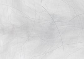 Transparent Background Element