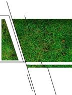 Design Abstract Rush Meadow