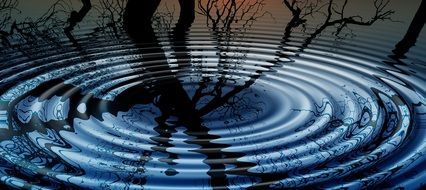 Rings Tree Mirroring Water