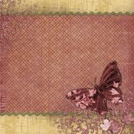 paper with butterfly for scrapbooking