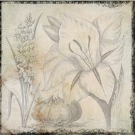 Background Vintage Plant Flower