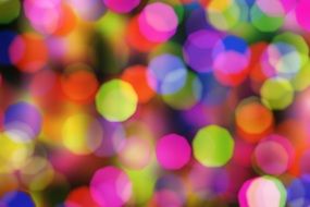 multicolored light bulbs