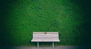 Bench Hedge Green Brown