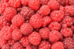 Raspberries Close Background