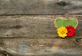 Postcard Heart Flowers Board