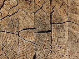 Wood Glued Weathered Jumped