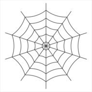 Web Cobweb Vector Nature Spider