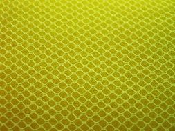 yellow sponge close up