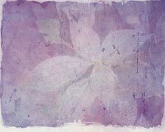 light purple background with divorces