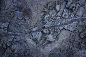 Rock Pattern Background Texture
