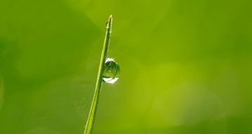 Dewdrop Morning Sun Mirror