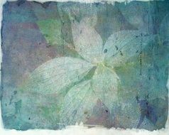 leaf texture background