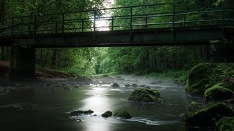 Bridge River Fog Water Gorge