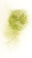 watercolor dot blot on a white sheet